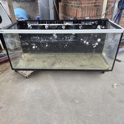 Aquarium, Fish Tank , Red Sea