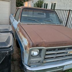 1979 Chevy Truck 