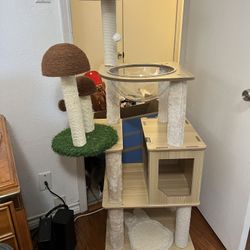 Cat Tree