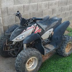 Quad Desert Cat Complete ATV Quad Mini Bike Pocket Bike Dirt Bike Go Kart GoPed Off-road Honda Yamaha Suzuki Polaris Parts