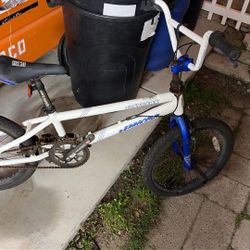 Boys Tony Hawk Bike
