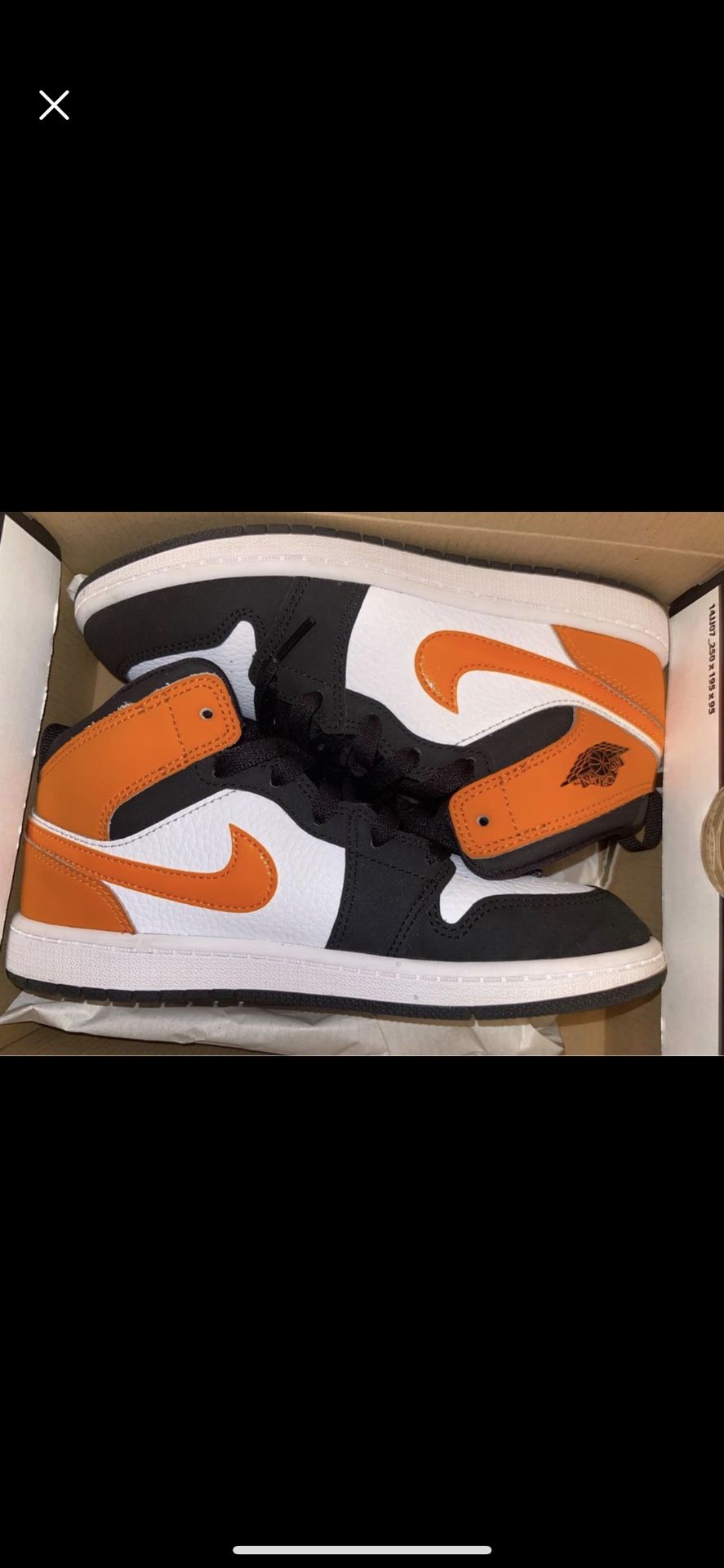 All Size 3y