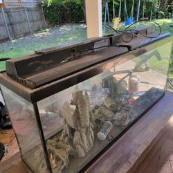 Fish Tank 