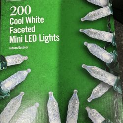 Christmas Lights