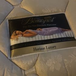 Simmons Beauty Rest Twin Bed Super Clean!