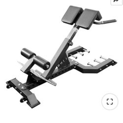 45 Degree Hyperextension 