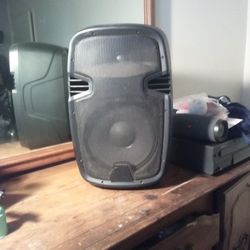 2 --  PA  10 INCH SPEAKERS...  CAN USE FOR ELECTRIC GUITARS, DRUMS, DJing OR JUST AS SPEAKERS FOR HOUSE OR OUTSIDE