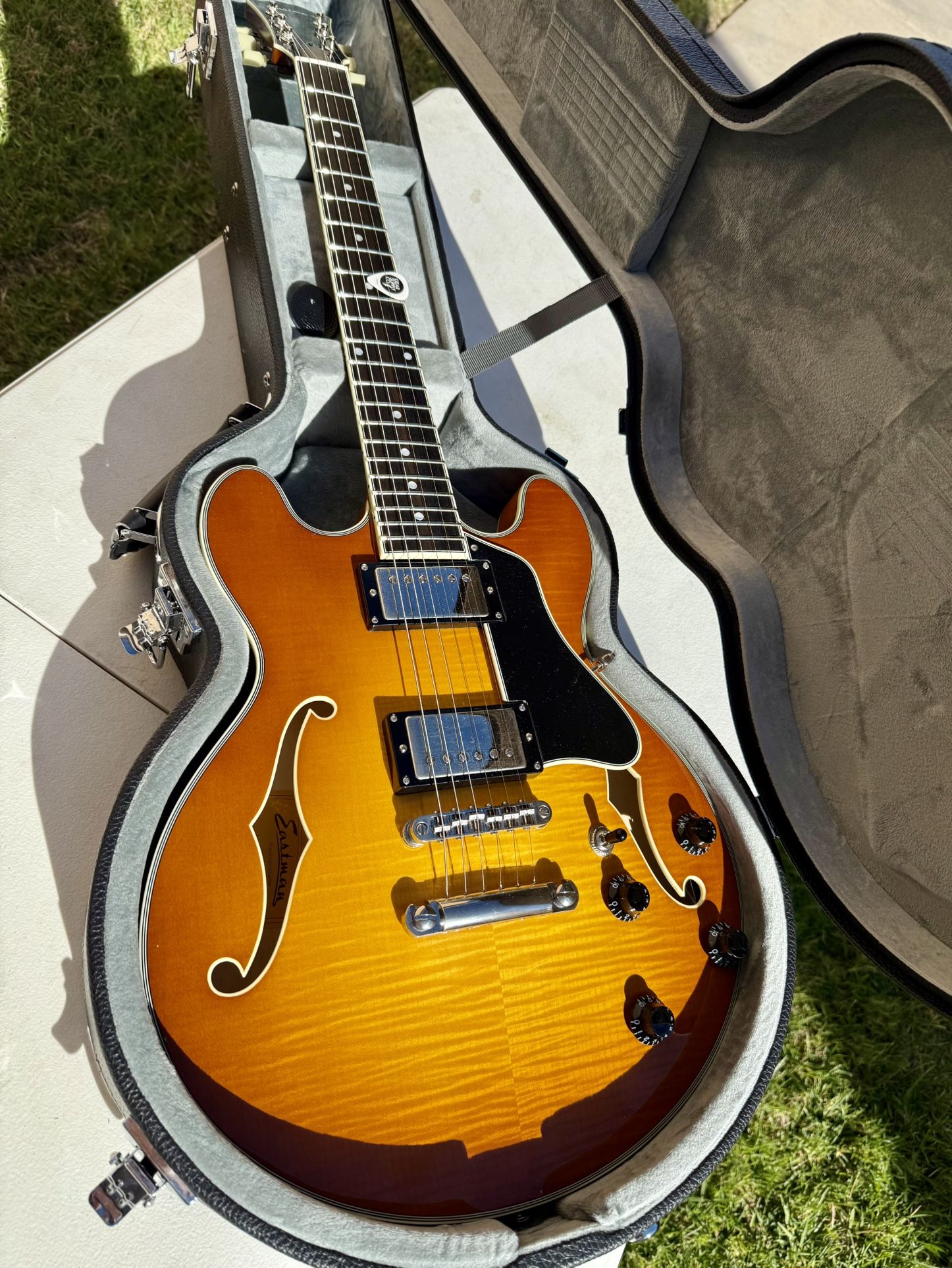 Eastman T484