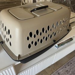 Dog Travel 