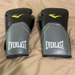 *LIKE NEW* Everlast 16oz Boxing Gloves