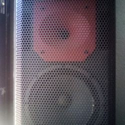 Audio Center PL 310 High-end Dynamic Speaker