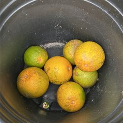 Sour Oranges