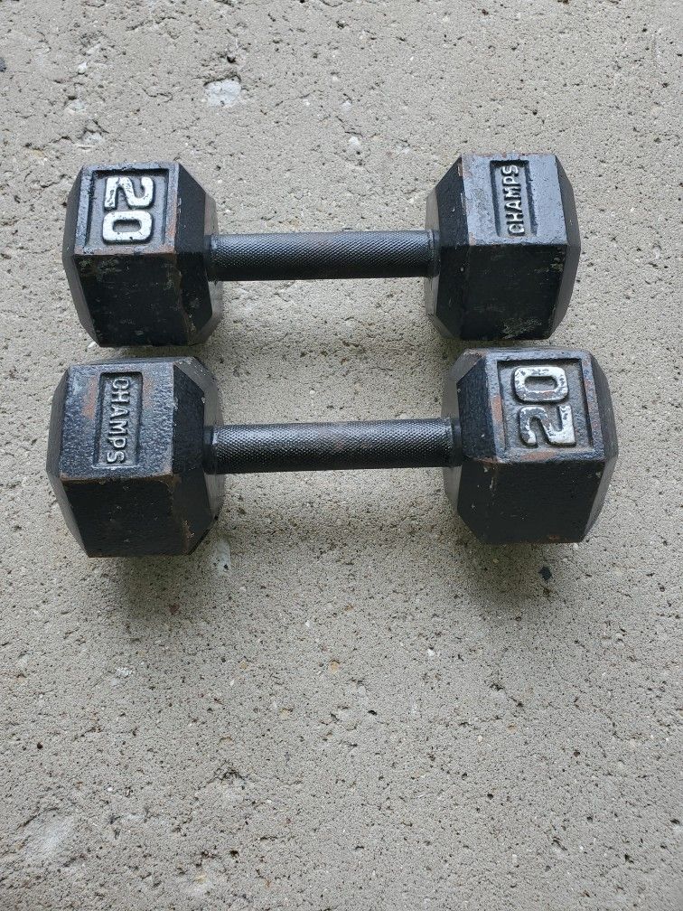 20 LB Dumbells