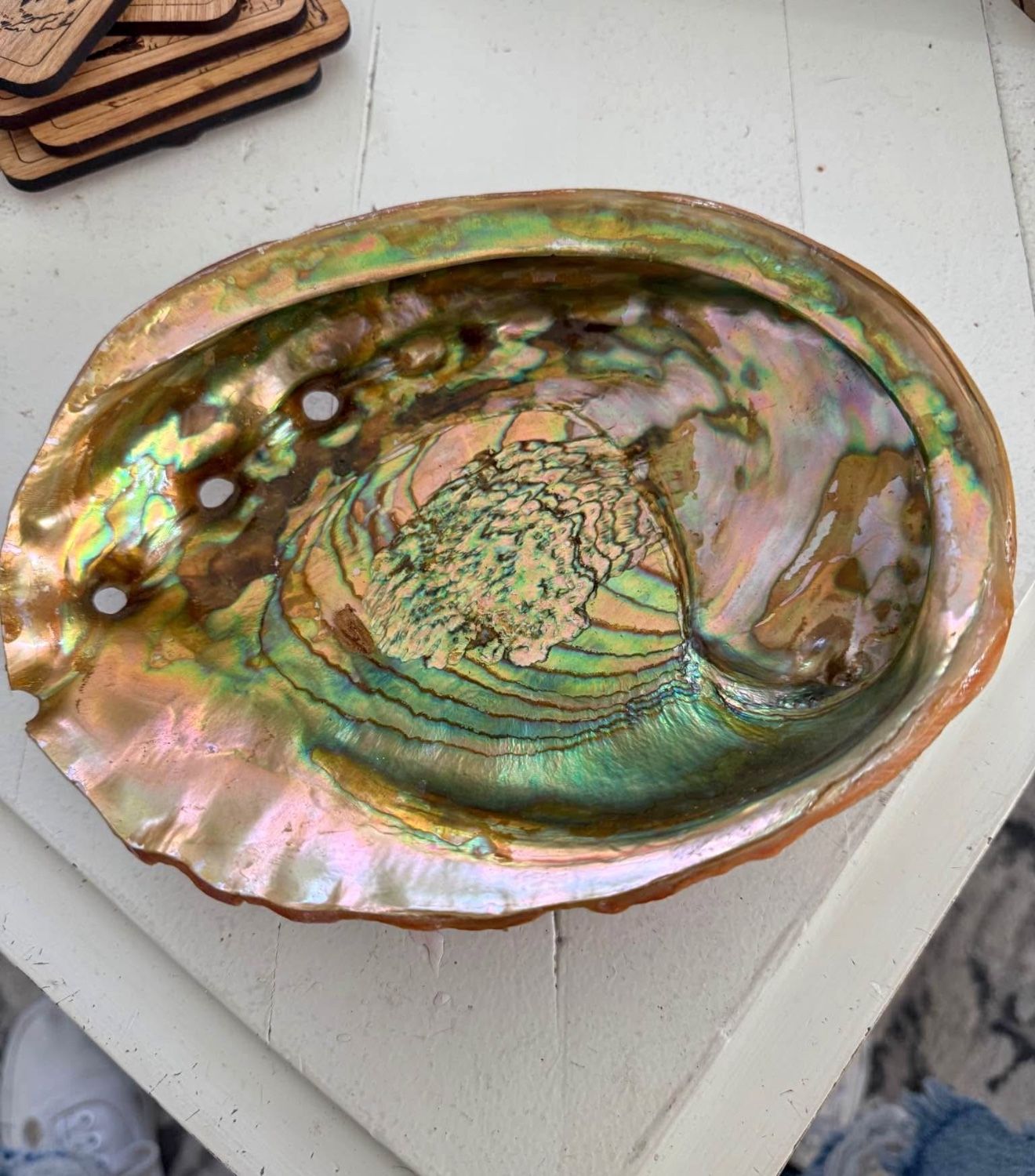 VINTAGE ABALONE SHELL BOWL DECOR