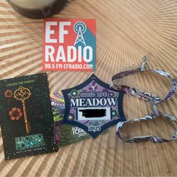 2 Electric Forest Wristbands w/ Camping pass