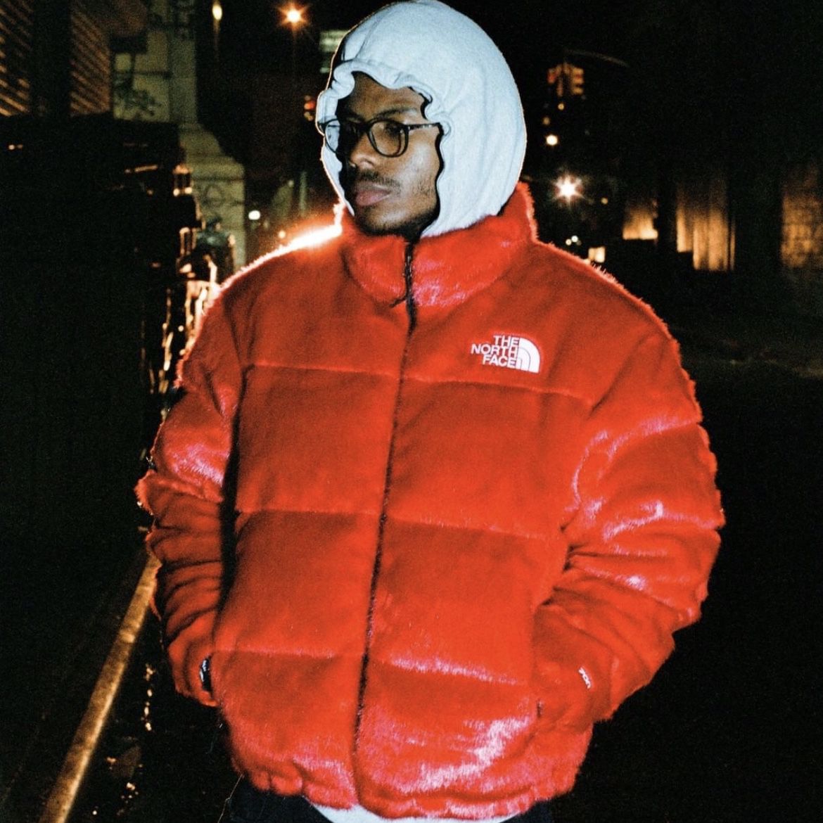 Supreme The North Face Faux Fur Nuptse Jacket (Sold Out) for Sale 