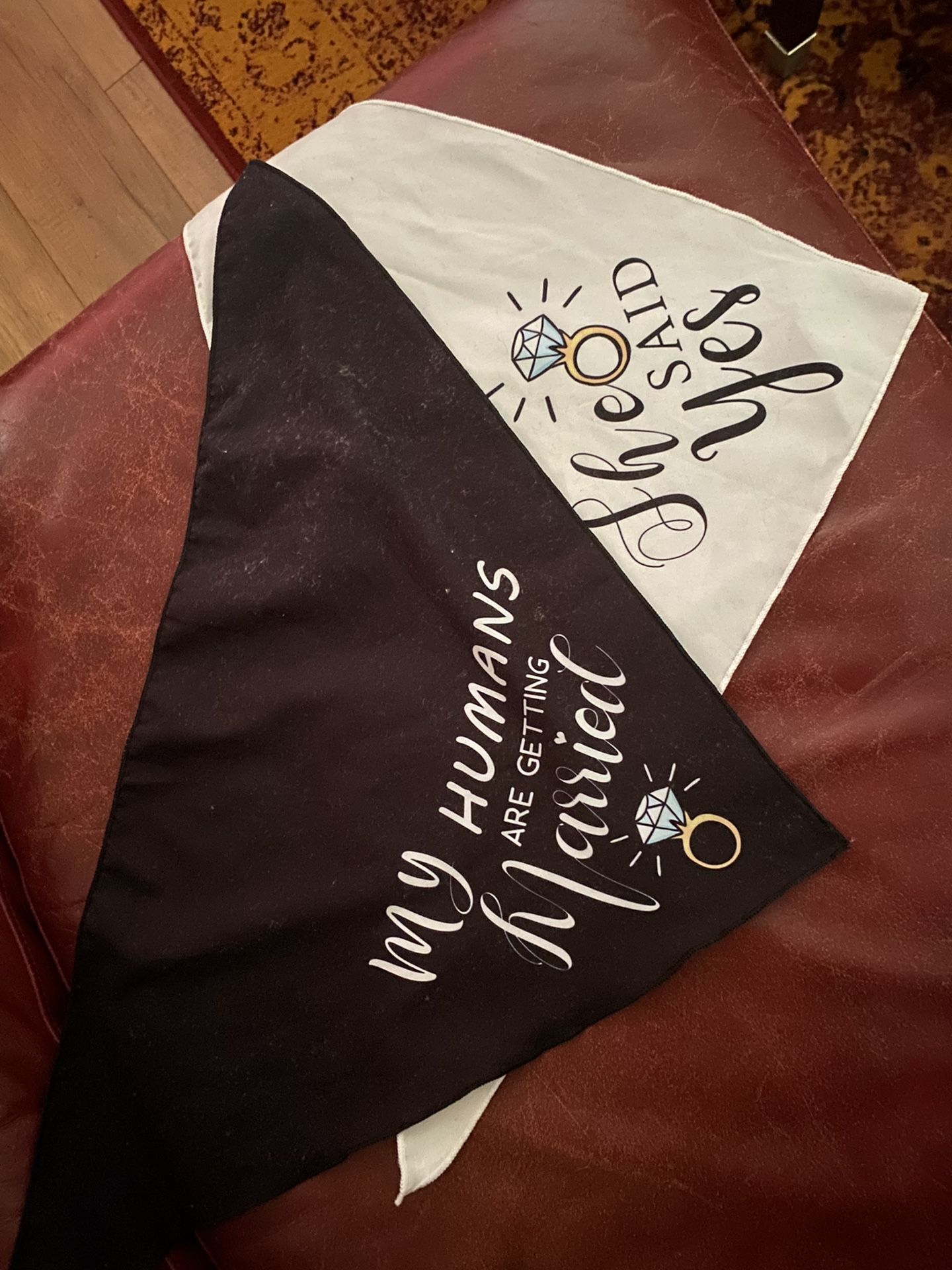 Engagement Dog Bandannas