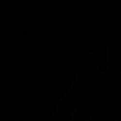 Mountain Bike 29inch