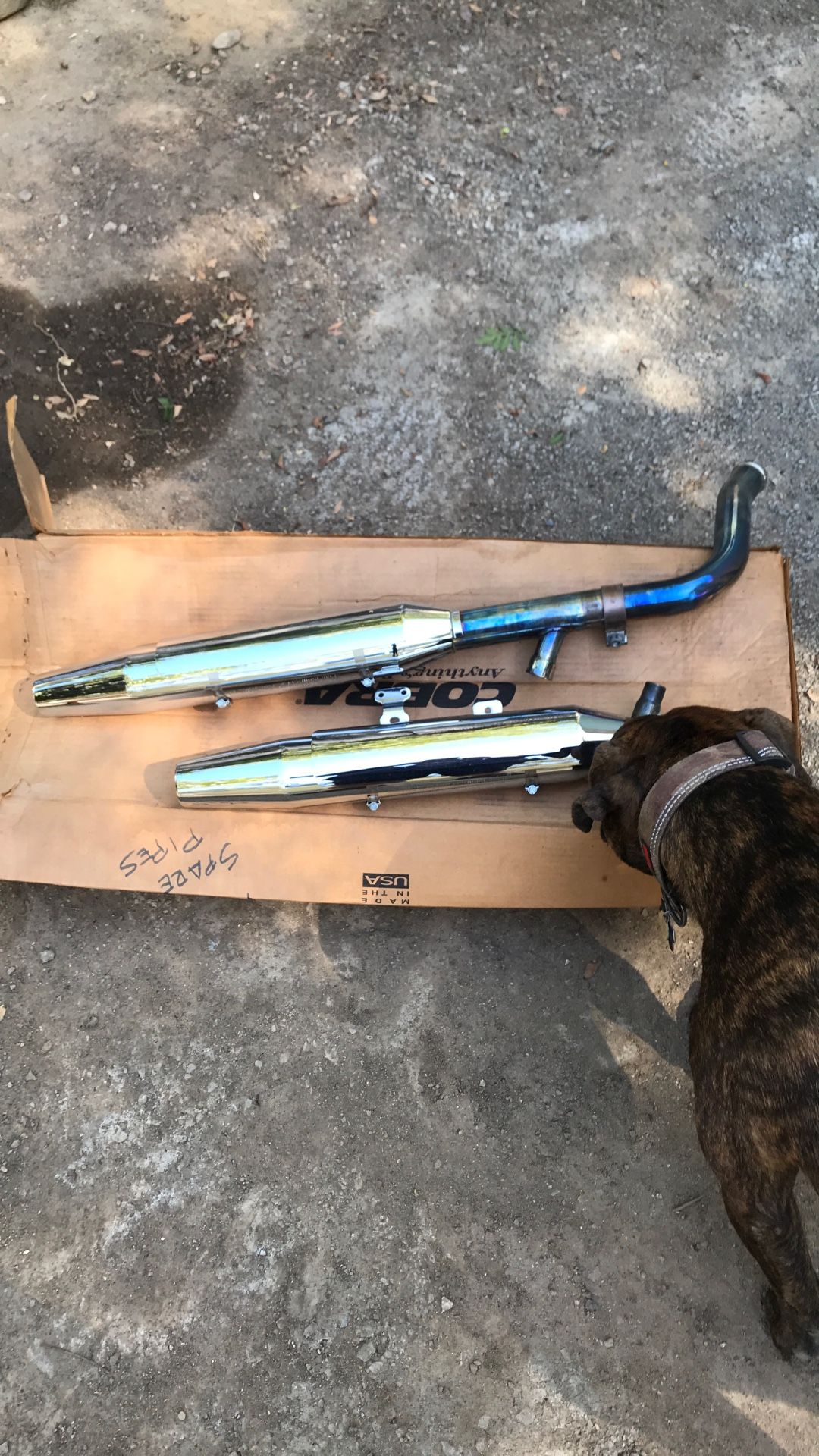 Harley Davidson Exhaust
