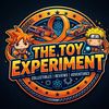 The Toy Experiment