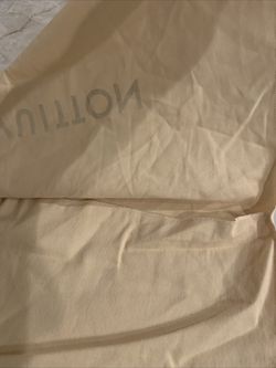 Louis Vuitton Dust Bag Sleeper Envelope Flap Style Travel 22x15