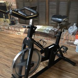 Schwinn Pro Indoor Cycling Exercise Bike