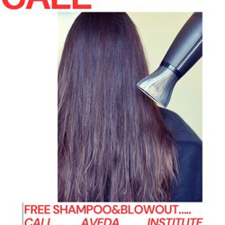 Free Shampoo And Blow Dry