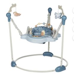 New Baby Bounce N Play