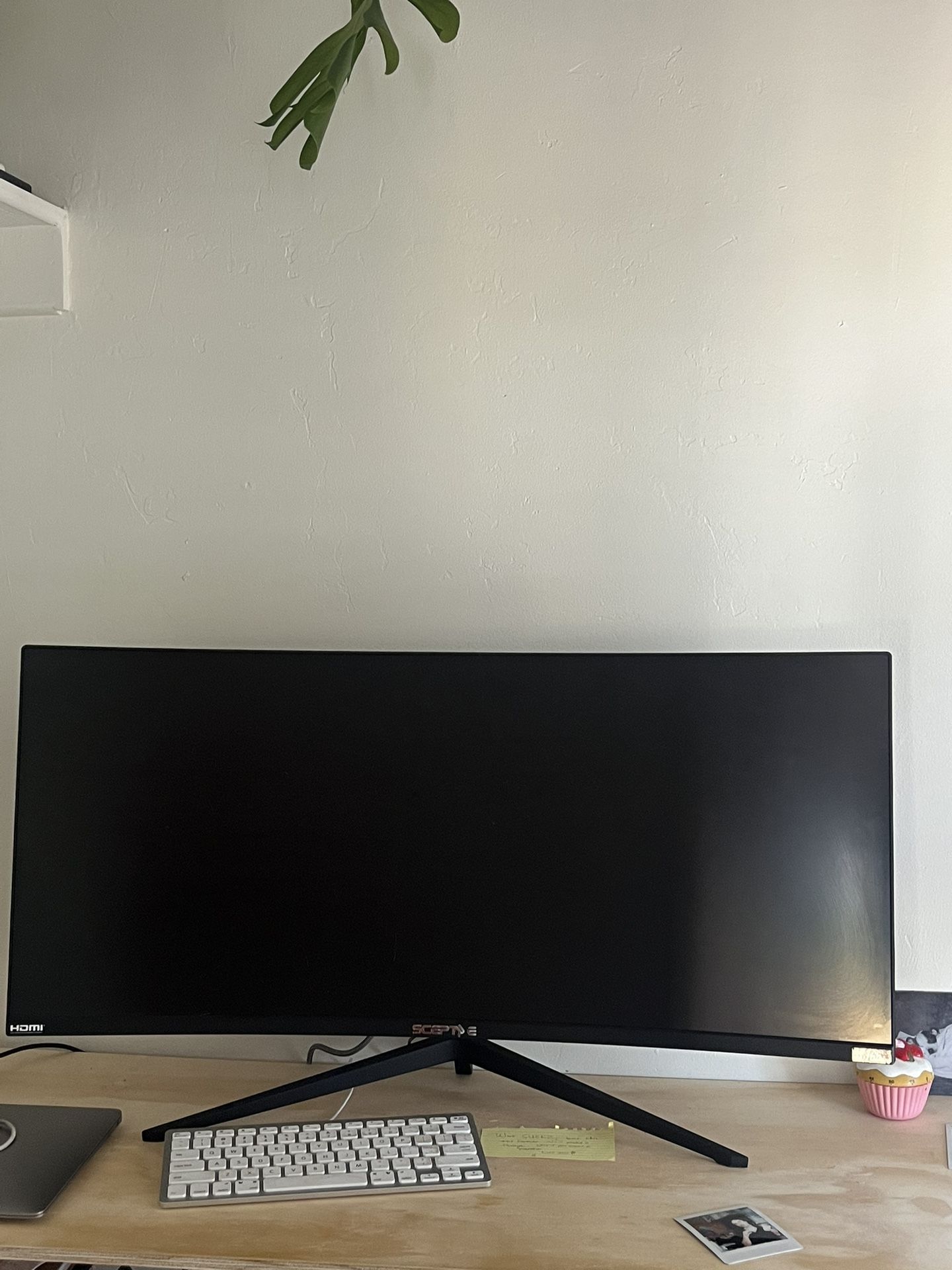 Computer Monitor - Sceptre Curved Screen 36”