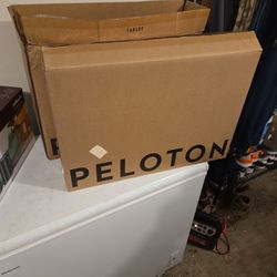 2 Peloton Screens