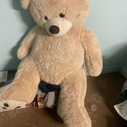 Teddy Bear 