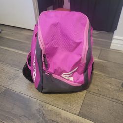 Easton Baseball Bag