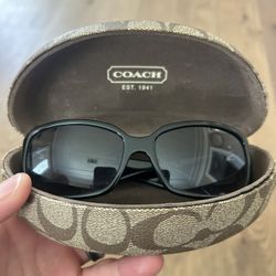 Coach Glasses 