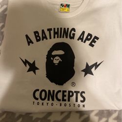 Bape x Concept 