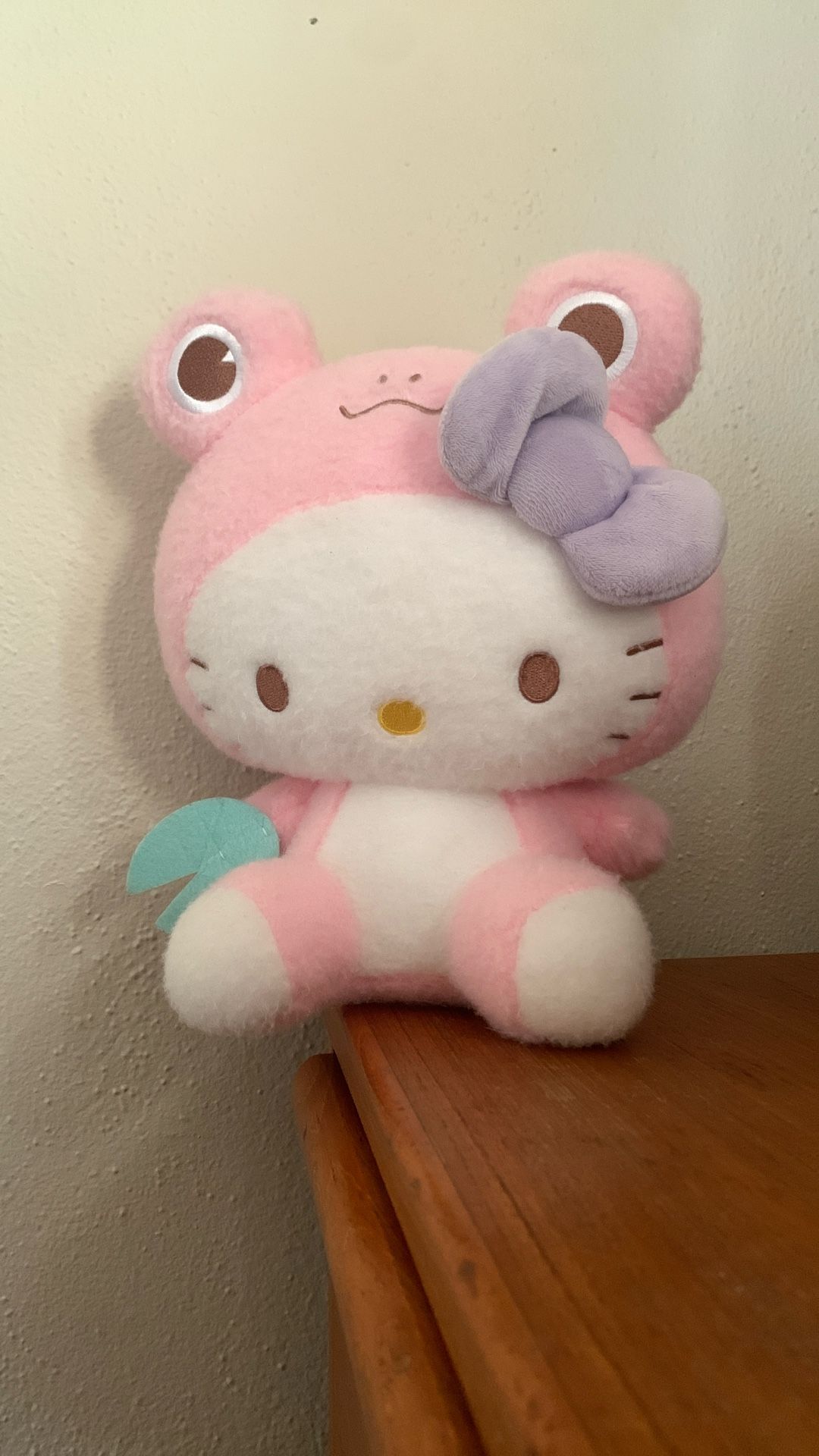 New Cute Hello Kitty Dressed As A Front 