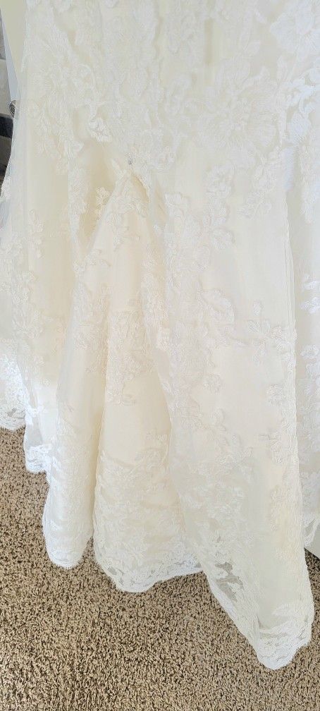 Lace Mermaid Wedding Dress