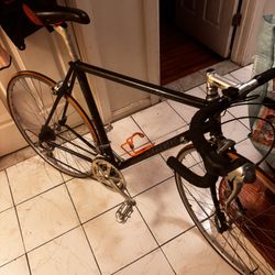 Trek 
