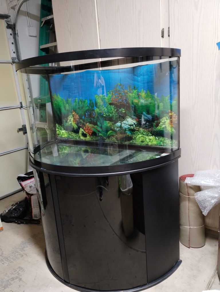60 Gallon Curved GLASS Aquarium with Stand