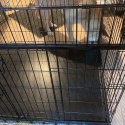 HUGE DOG KENNEL - PERFECT CONDITION