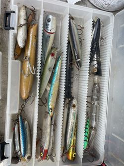 Fishing