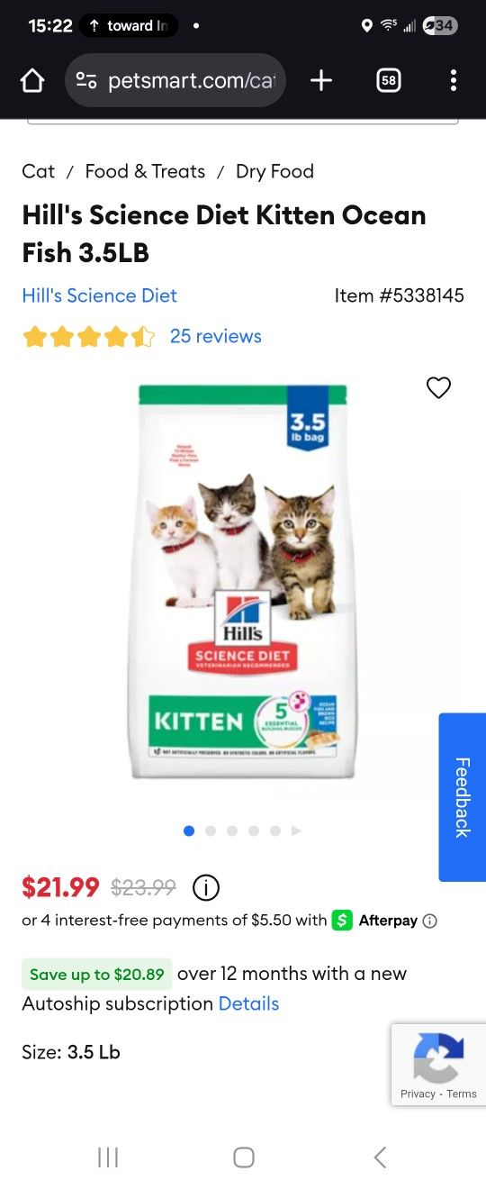 Kitten Foods
