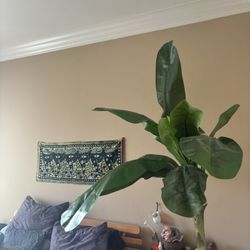 IKEA FAKE BANANA TREE