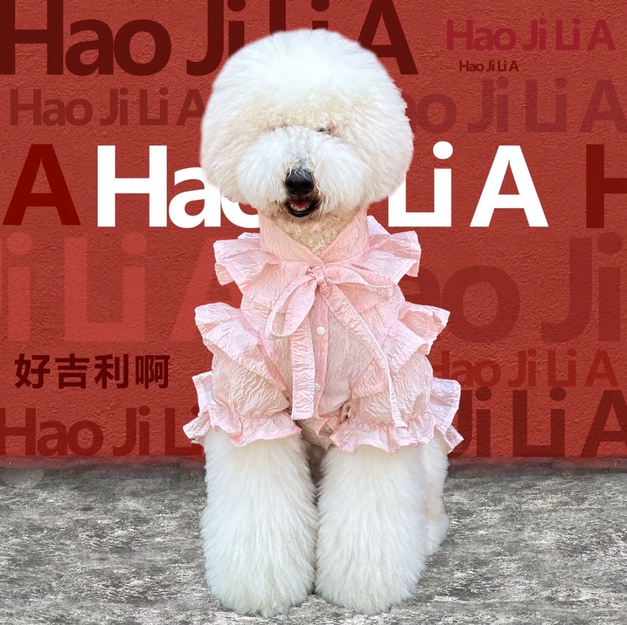 Dog Dress XL