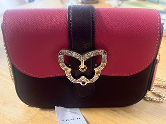 Purse  Coach