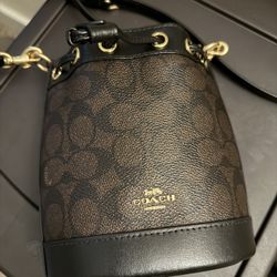 Coach Mini Bucket Bag