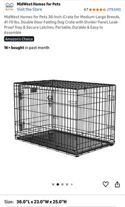 Large Dog Supplies Bundle