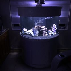90 gallon acrylic half cylinder fish tank