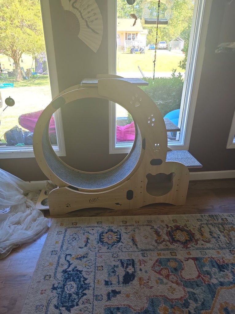 Cat Exercise Wheel