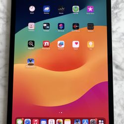 iPad Pro 11”  Latest Gen 2024 Model