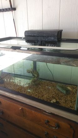 Fish filter